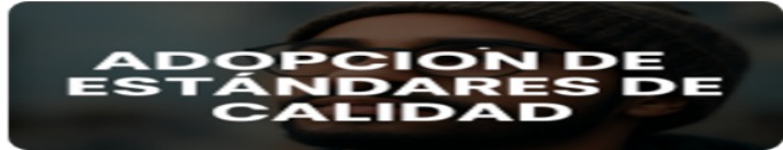 Adopcion estandares de calidad