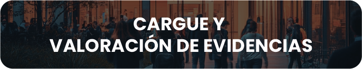 Cargue y valoración de evidencias